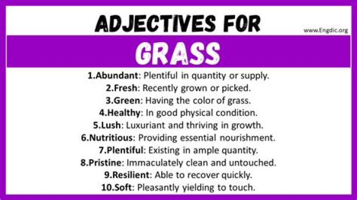 How would you describe the color of grass?