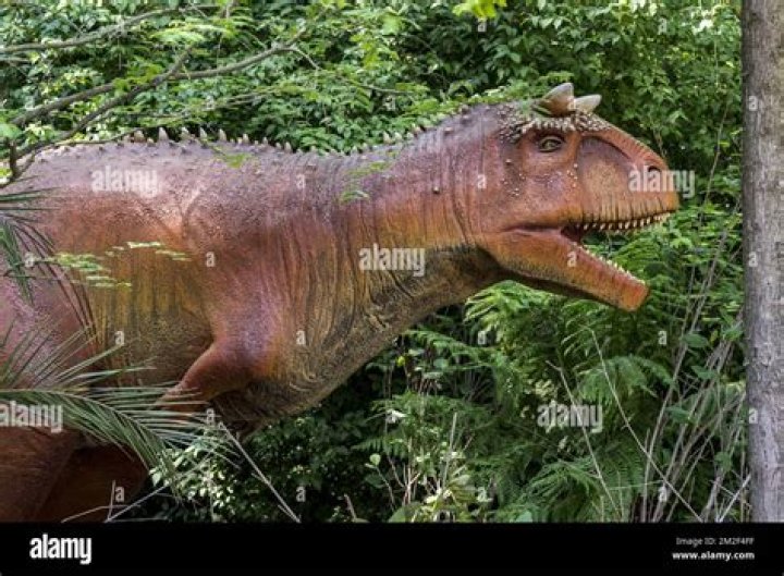 Is a Carnotaurus a real dinosaur?