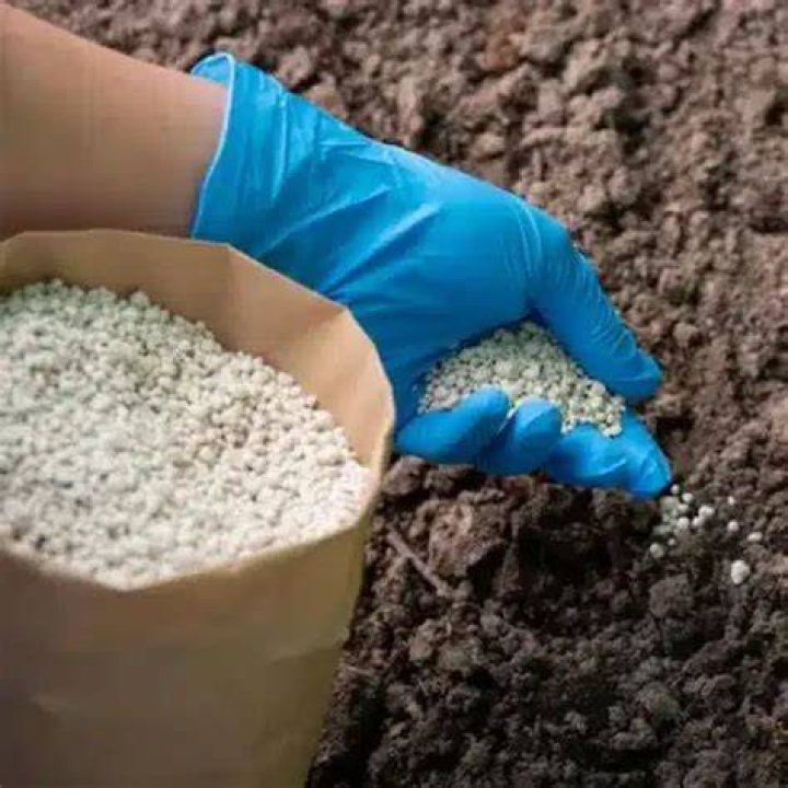 Is ammonium sulfate good for tomatoes?