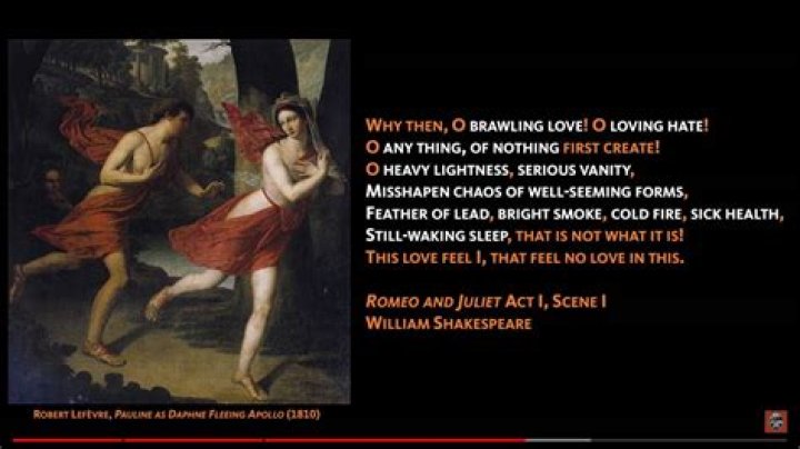 Is brawling love an oxymoron?