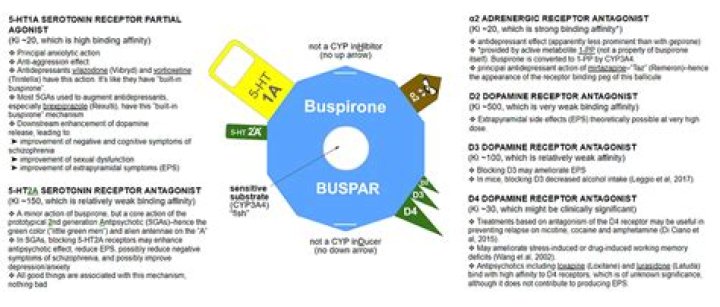 Is BuSpar and Buspirone the same?