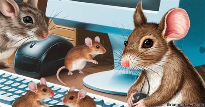 Is computer mouse plural mice?