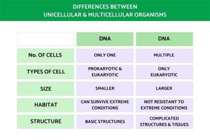 Is Cosmarium unicellular or multicellular?