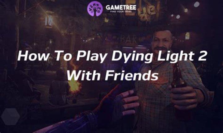 Is dying light two players?