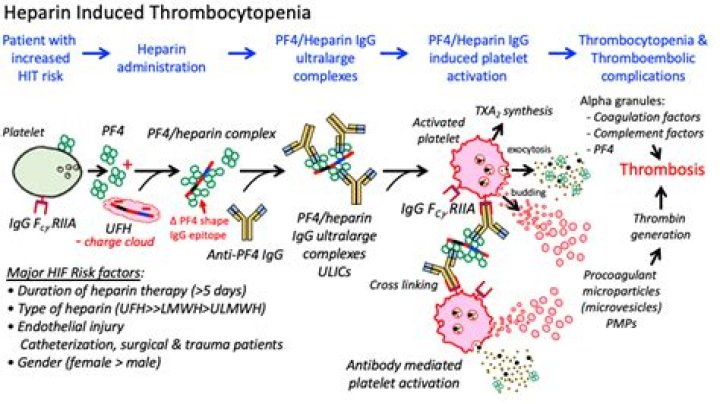 Is heparin an antithrombin? | ContextResponse.com