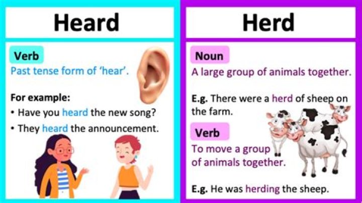 Is it herd or heard?