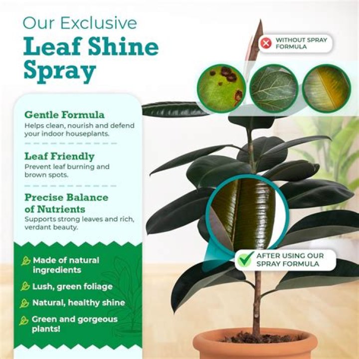 Is leaf shine good for plants?