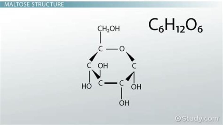 Is maltase a carbohydrate? | ContextResponse.com