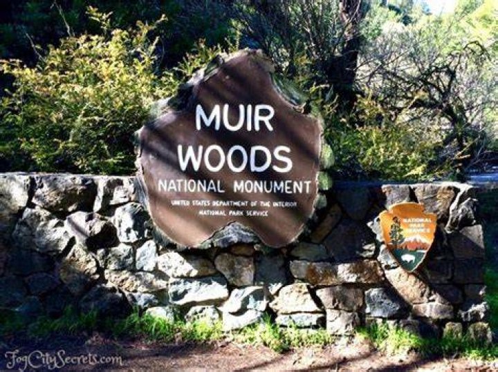 Is Muir Woods open now?