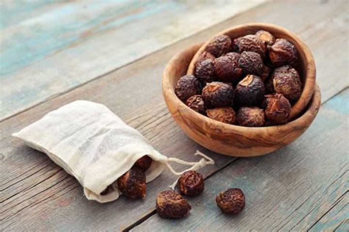 Is Soapnut good for dry hair?