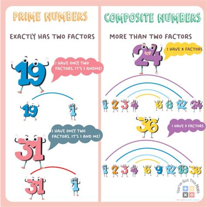 Is the number 19 prime or composite?