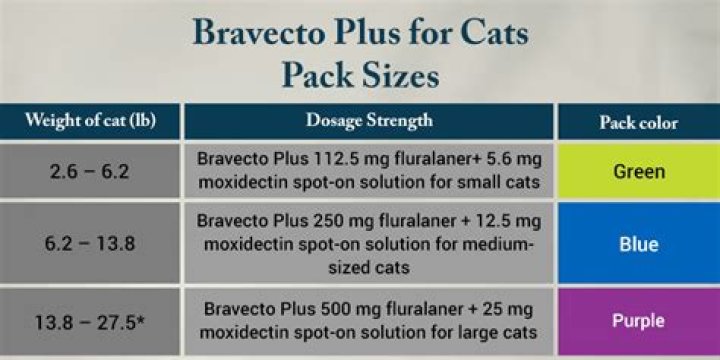 Is there a Bravecto for cats?