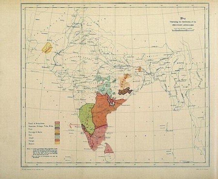 Is there a Dravidian race?