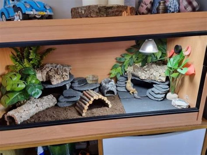 What animals can live in a vivarium?