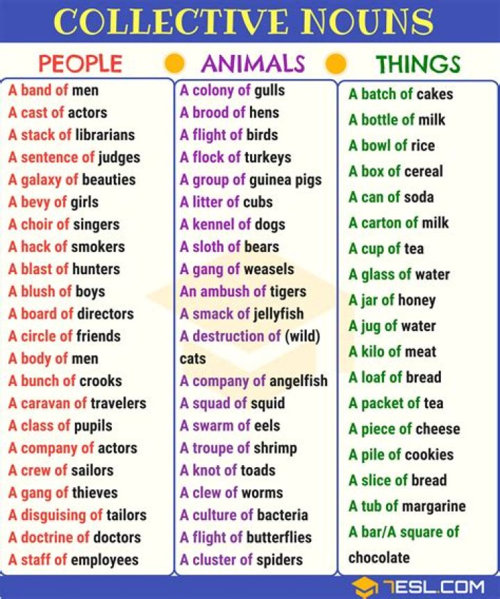 What are collective nouns and examples?