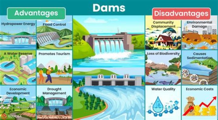 What are the disadvantages of a dam construction?