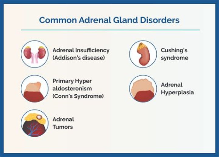 What are the disorders of adrenal gland?