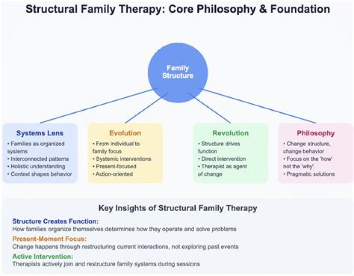 What are the key concepts of structural family therapy?