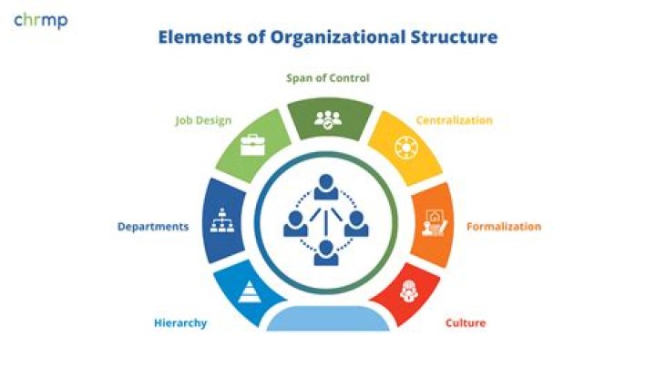 What are the organizational levels?