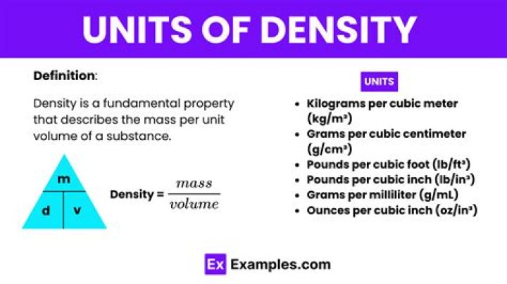 What are the SI units for density?