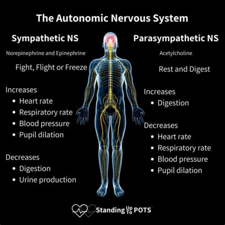 What are the six call systems that humans still possess?