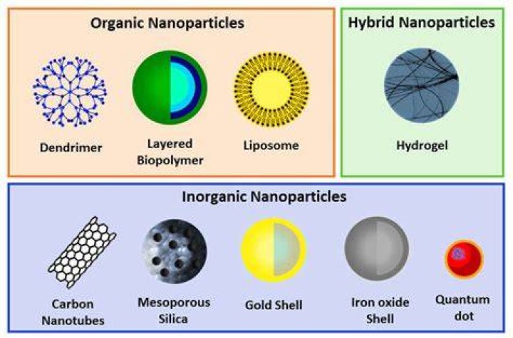What are the types of nanoparticles?