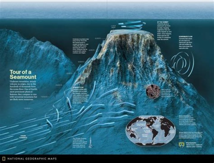 What are underwater cliffs called?