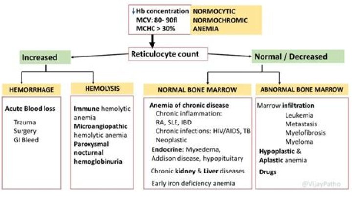 What causes Normocytic Hypochromic anemia?