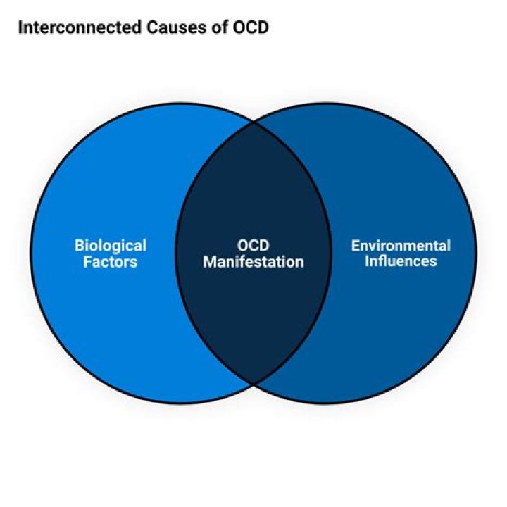 What causes of OCD? | ContextResponse.com