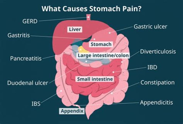 What causes stomach to stick out?