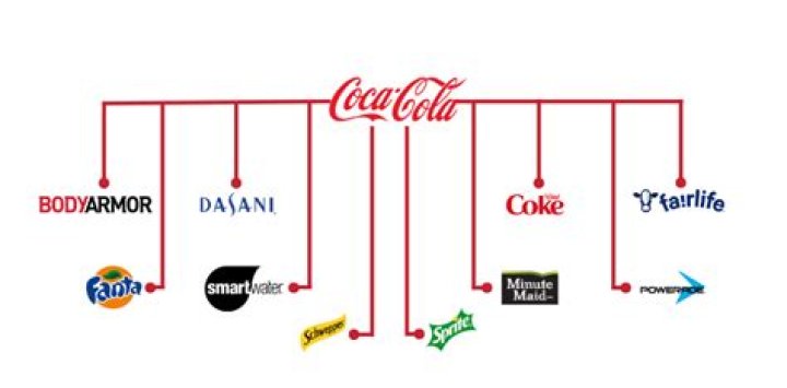 What companies has Coca Cola bought?