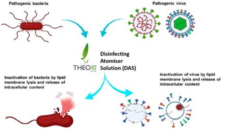 What disinfectants kill HPV? | ContextResponse.com