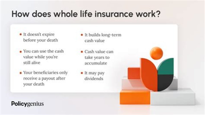 What do modified life and straight life policies have in common?