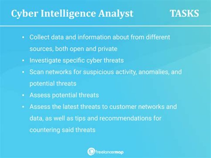 What does a cyber analyst do?
