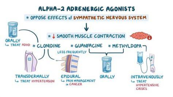 What does alpha 2 agonist do?