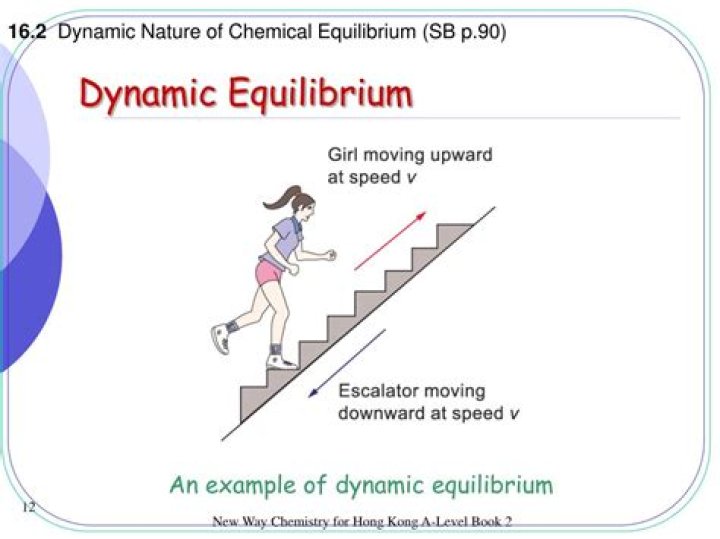 What does dynamic in dynamic equilibrium mean?
