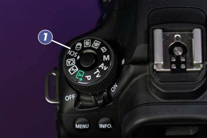 What does ISO mean on a DSLR camera?