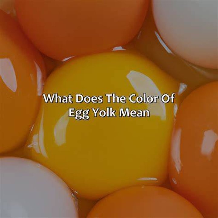 What does it mean to divide an egg?