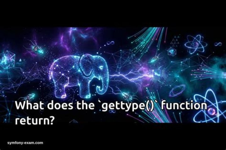 What does the GetType method of an object return?