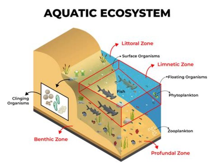 What ecosystem is associated with aquatic ecosystems?
