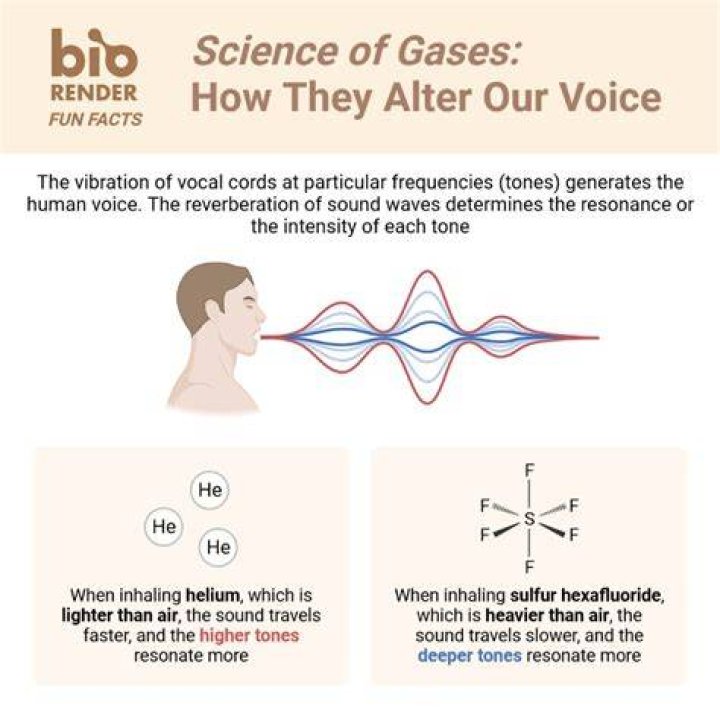 What gases change your voice?