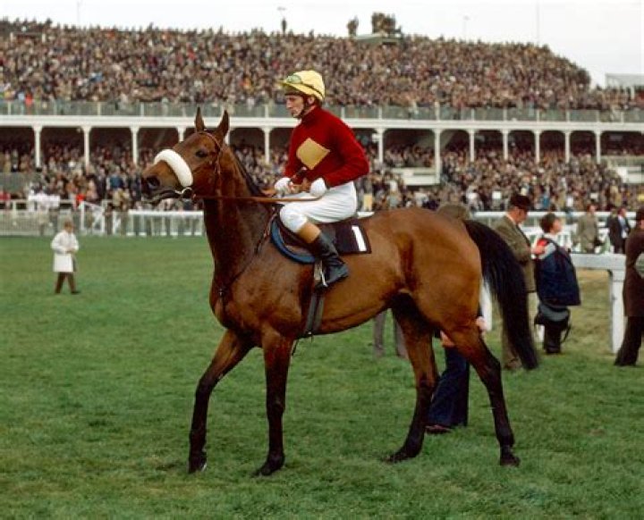 What happened Red Rum?