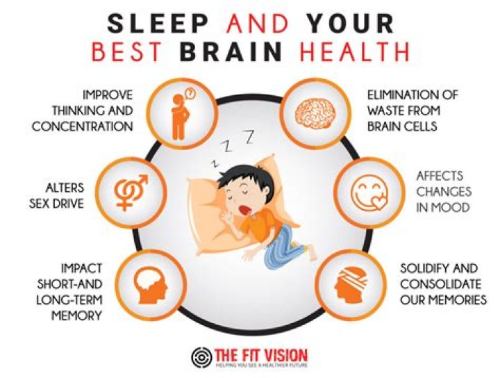 What happens in your brain when you sleep?