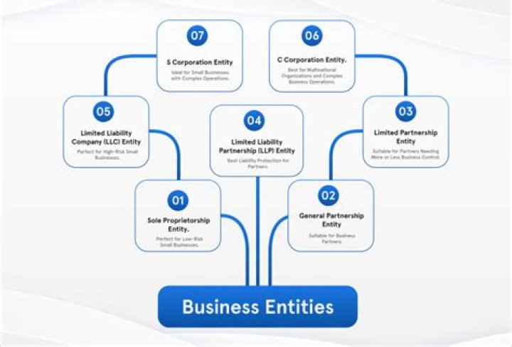 What is a business entity principle?