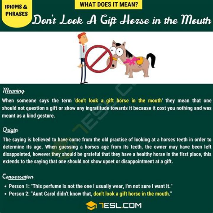 What is a gift horse in the mouth mean?