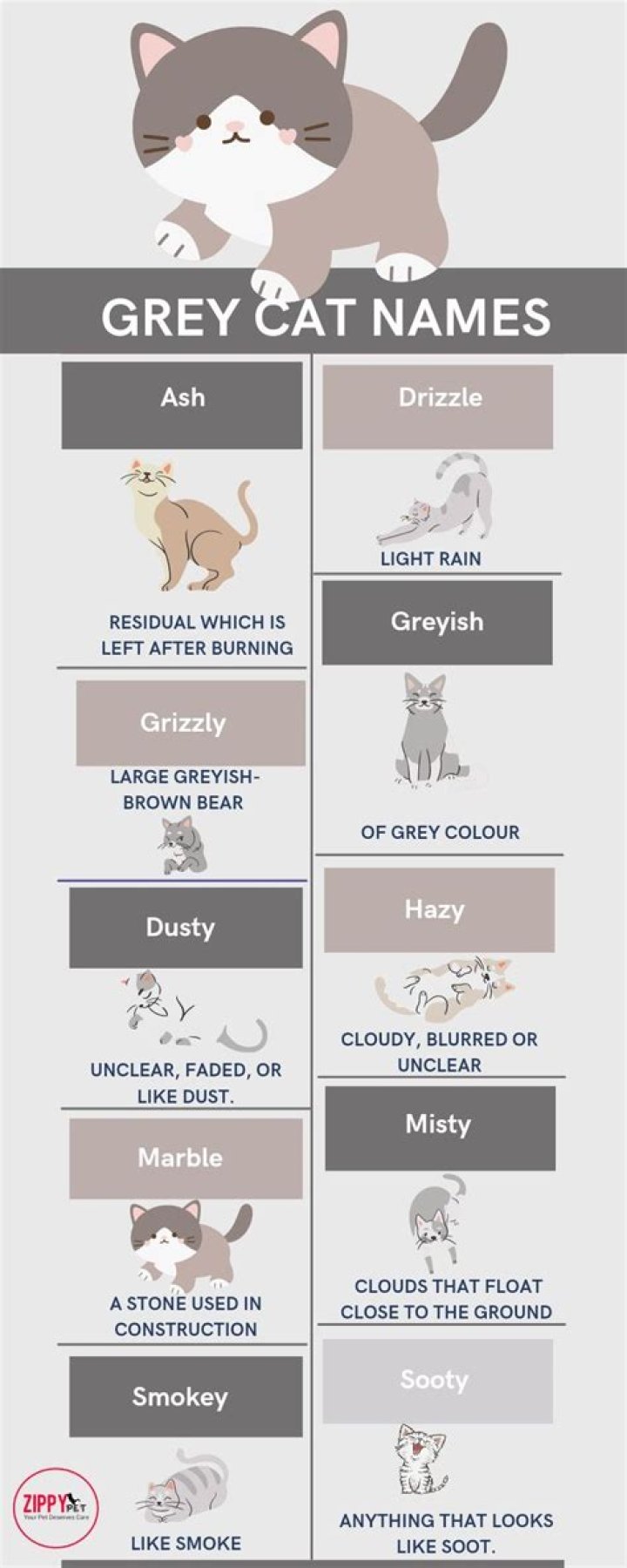 What is a good name for a GREY kitten?