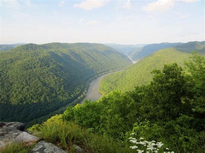 What is a holler in the country?