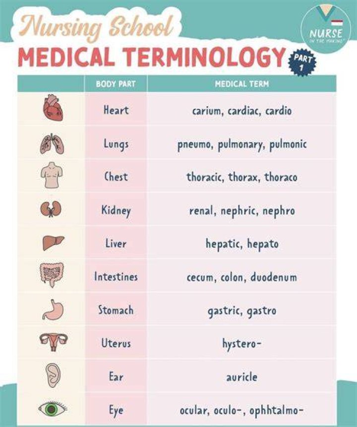 What is a medical terminology?