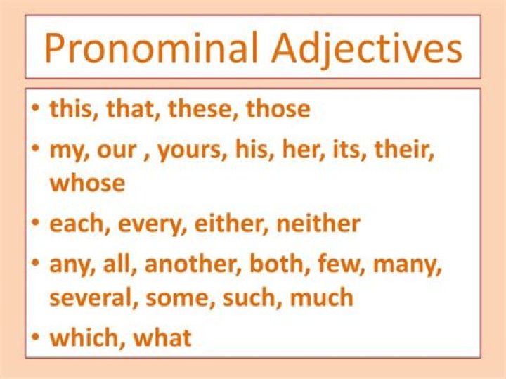 What is a pronominal adjective?