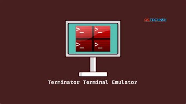 What is a terminal emulator used for?